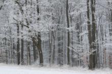 Śnieżne zdjęcia zimy 2015r.