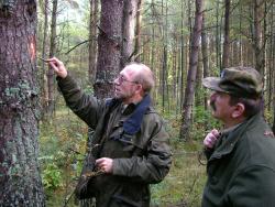 Prognozowanie zagrożeń