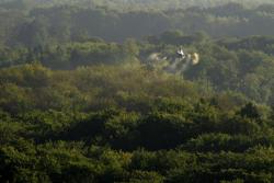 Zwalczanie miernikowców